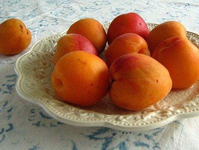 ����� ���� ����� ������� Prunus armeniaca.j